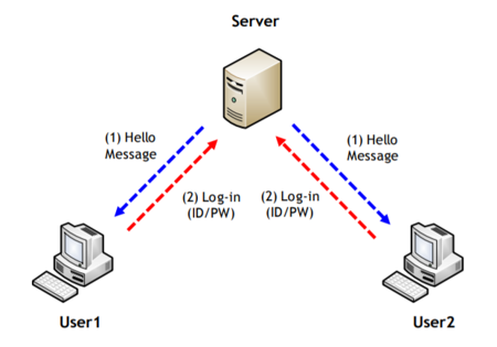 Server-Client model structure